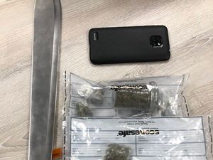Supporting image for story: Machete, drugs and phone seized in Shrewsbury raid