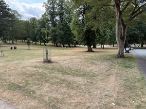 Mary Stevens Park
