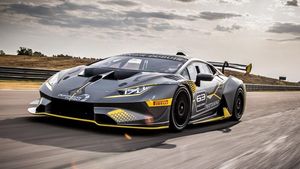 Supporting image for story