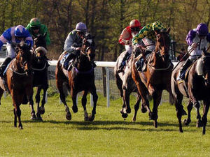 Supporting image for story: Fears that Ladbrokes bid is a bad bet for Wellington