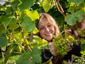 Supporting image for story: Shrewsbury vineyard raises a glass to award-winning year