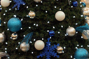 Supporting image for story: Successful Hednesford lights switch-on attracts hundreds