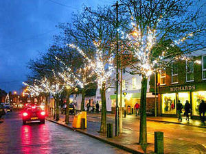 Supporting image for story: Fresh hopes for return of Shifnal's festive lights display