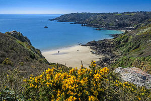 Supporting image for story: Guernsey, Channel Islands - travel review
