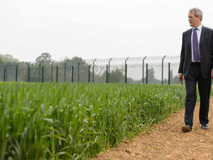 Supporting image for story: Poll: Are GM crops the way forward for agriculture?