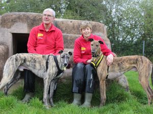 Supporting image for story: Dogs Trust Shrewsbury to bust myths about greyhounds and lurchers