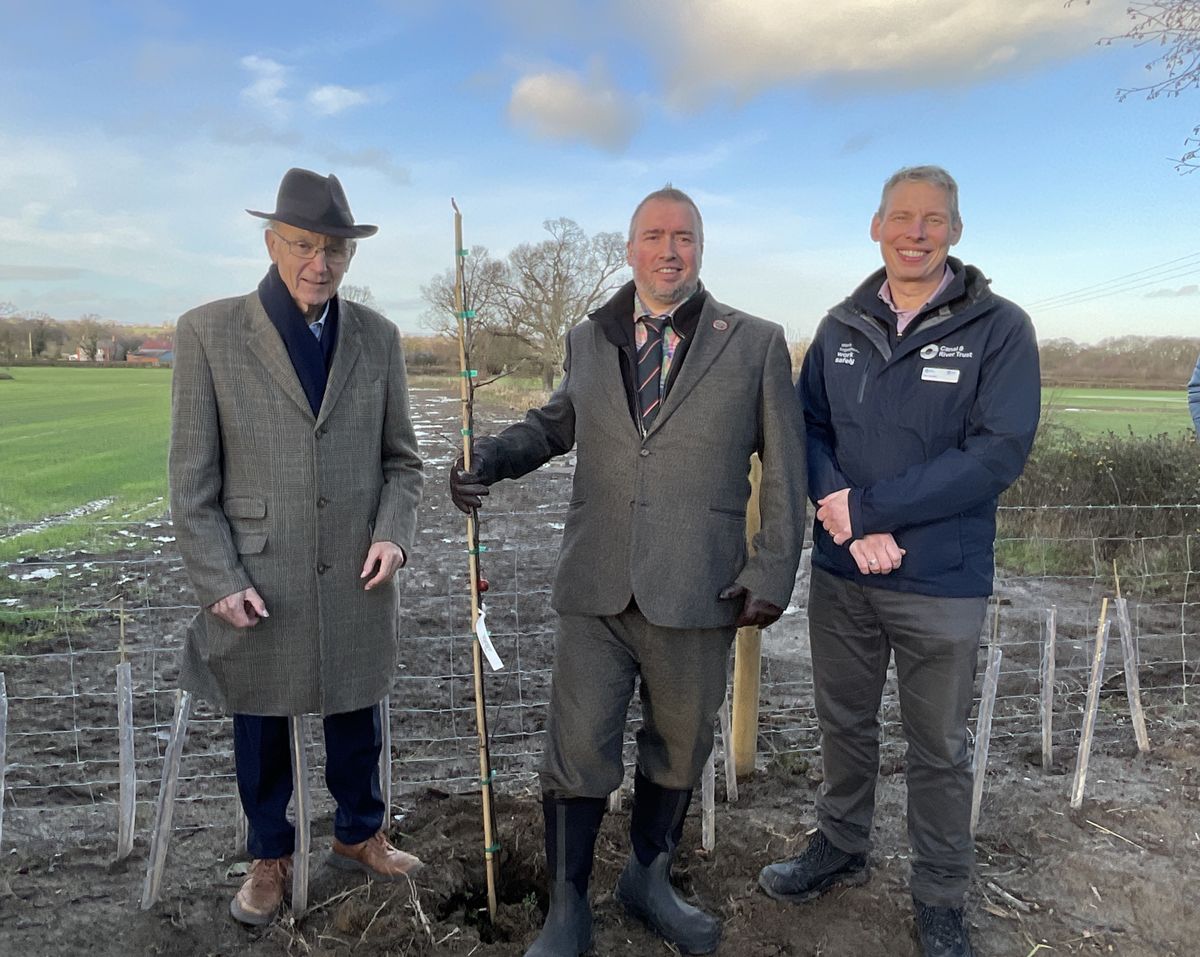 New wetland habitat created to boost rare plants on the Montgomery Canal
