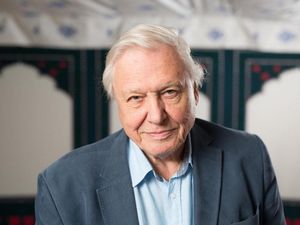 Supporting image for story: David Attenborough: watching albatross feeding its chick plastic was heartbreaking