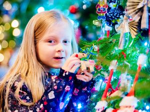 Supporting image for story: Christmas tree fest sees biggest year yet