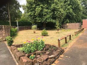 Supporting image for story: Tree planted in memory of Market Drayton schoolboy