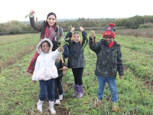 Supporting image for story: 'They had a real hands-on learning experience': Wolverhampton school pupils swap classroom for fields and muck in