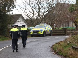 Supporting image for story: Five young people dead in ‘devastating’ road crash in Co Louth