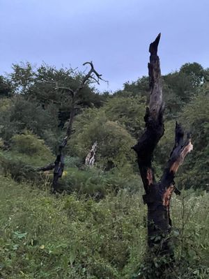 Photo: Tenbury Fire Station