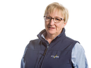 Supporting image for story: Mobility scoring to check on herd hoof health