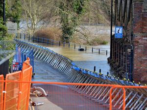 Supporting image for story: Permanent Ironbridge barriers are needed says councillor