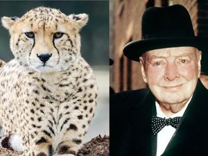 Supporting image for story: 9 remarkable facts that sound fake but aren’t