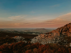 Supporting image for story: Wildlife trust launches campaign to buy land at Stiperstones beauty spot