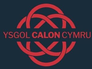 Supporting image for story: Ysgol Calon Cymru headteacher "optimisiic" over school's budget recovery plan
