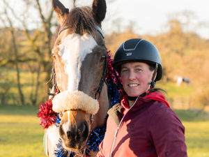 Supporting image for story: Staffordshire's former star racehorse named RoR Horse of the Year finalist