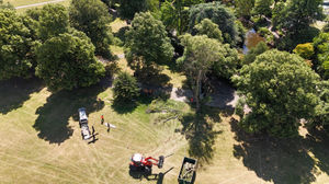 The tree has been removed from The Quarry. Picture: Shrewsbury Town Council