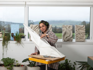 Supporting image for story: Shrewsbury Arts Trail returns with several renowned sculptors and artists and with environmental theme