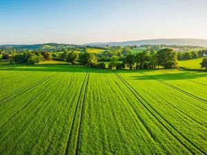 Supporting image for story: Funding targets better access to wireless networks in rural spots