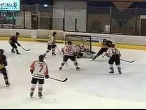 Supporting image for story: Telford Tigers v Bracknell Bees - video highlights