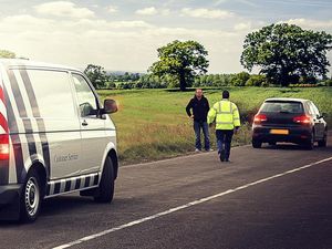 Supporting image for story