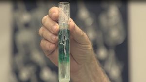 Supporting image for story