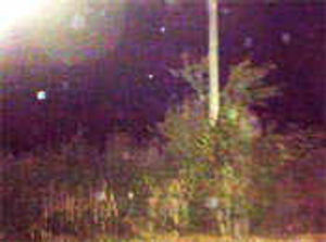 Supporting image for story: County's close encounter