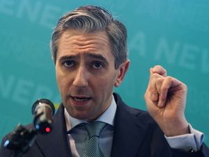 Supporting image for story: Taoiseach urges public to consider government formation when voting