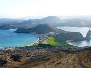 Supporting image for story: Travel: The Galápagos Islands
