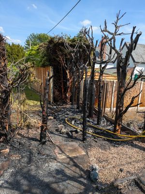 The fire affected three properties. Photo: Ellesmere Fire Station Facebook