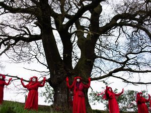 Supporting image for story: 'Chainsaw massacre' demonstration promised for council's Halloween D-Day on Shrewsbury relief road
