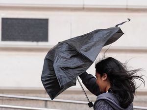 Supporting image for story: Thousands spend second night without power after Storm Floris