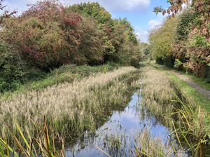 Supporting image for story: Next phase towards re-opening canal concentrates on dredging