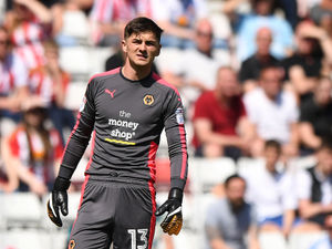 Supporting image for story: Wolves 'keeper Harry Burgoyne linked with Shrewsbury