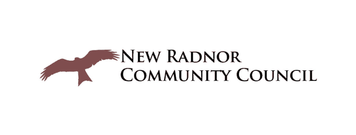 Volunteers are being sought for a community group in New Radnor following concerns about speeding