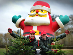 Supporting image for story: Family business continues to bring Christmas joy