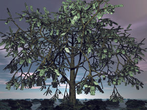 Supporting image for story: LETTER: Searching for the trees where all the money is growing