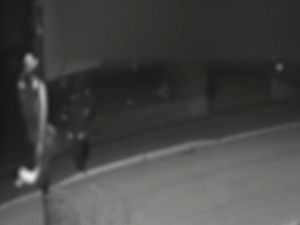 Supporting image for story: St George’s flag torn down from outside Staffordshire home of Olympic hero’s mum