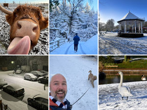 Supporting image for story: 40 fantastic pictures as snow blankets Shropshire and Mid Wales