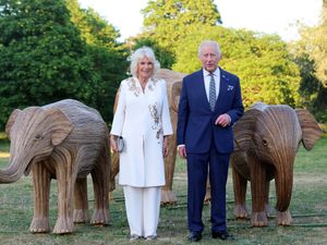 King Charles III and Queen Camilla attend the Wonders of the Wild
