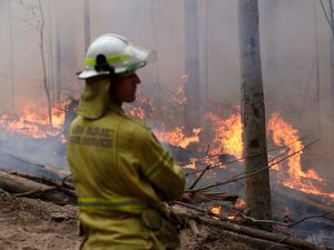 The Australian wildfires