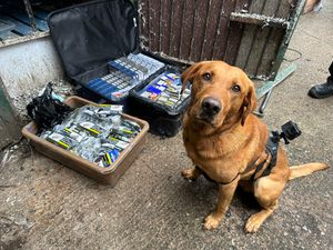 Supporting image for story: Detection dogs sniff out thousands of illicit cigarettes and illegal vapes in Staffordshire
