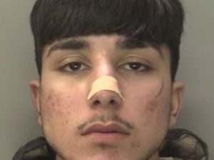 Supporting image for story: Jailed: Teenager pulled gun on woman in test drive carjacking