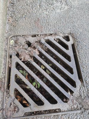 One of the drains which looks to have been filled in with Tarmac