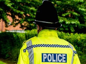 Supporting image for story: Set of ladders worth £180 stolen from Ludlow home