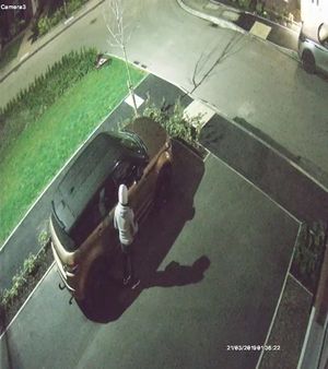 CCTV shows the thief making off with the car