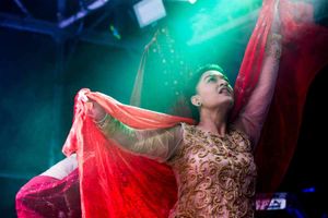 Supporting image for story: Gallery: 5,000 turn out for Diwali festival at Phoenix Park
